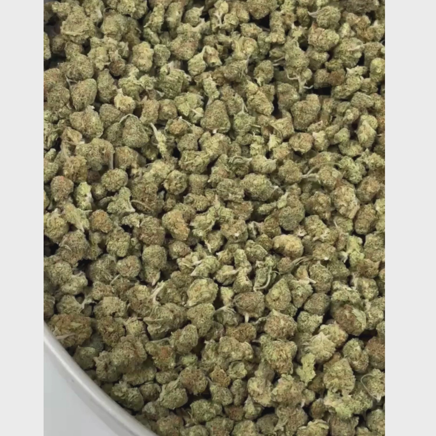 Mini Buds Oreo Cookies CBD