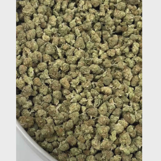 Mini Buds Oreo Cookies CBD