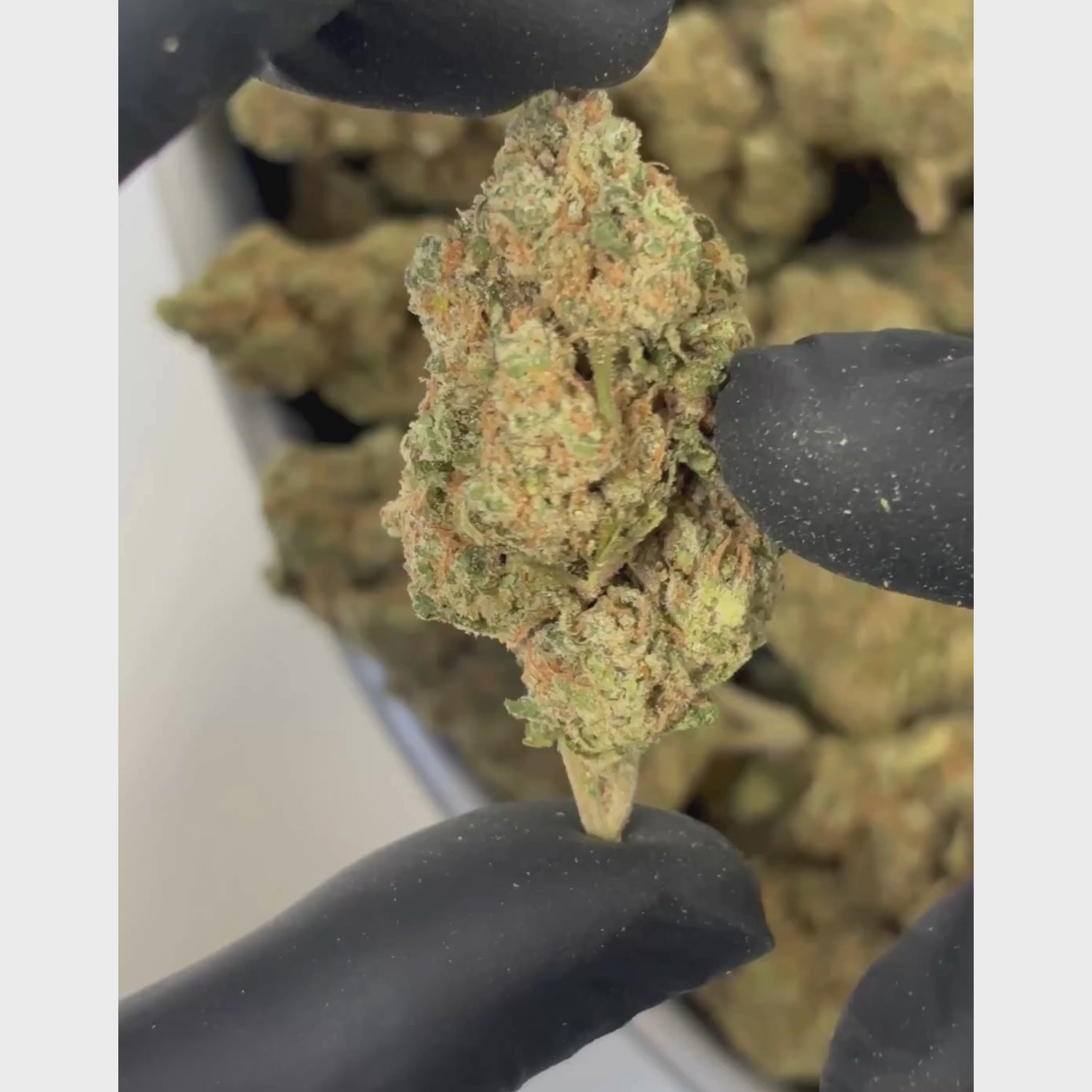 Sour Diesel weed CBD