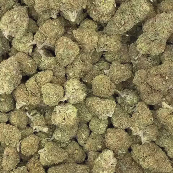 Critical Berry THV N-10