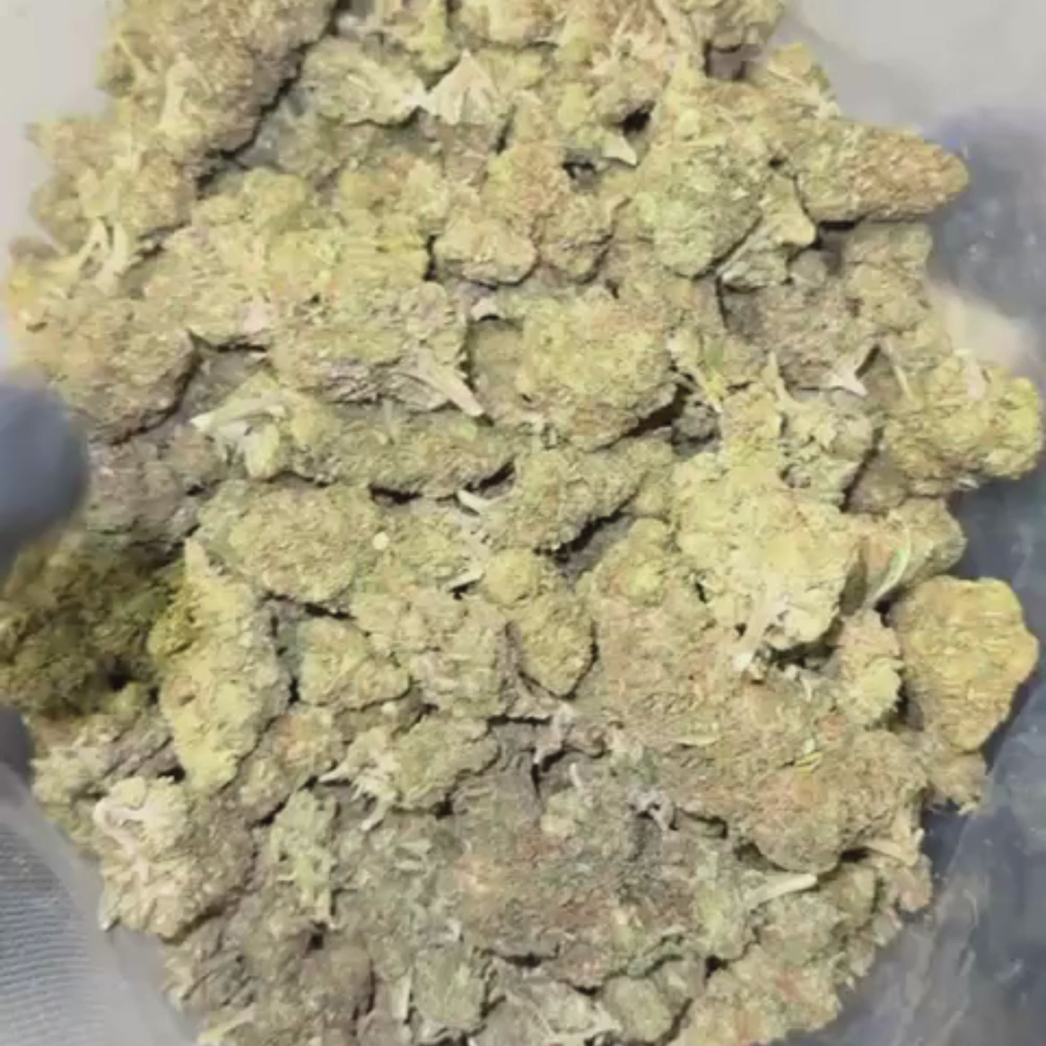 Strawberry Lemonade BZ20