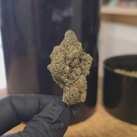 Gary Payton CBD