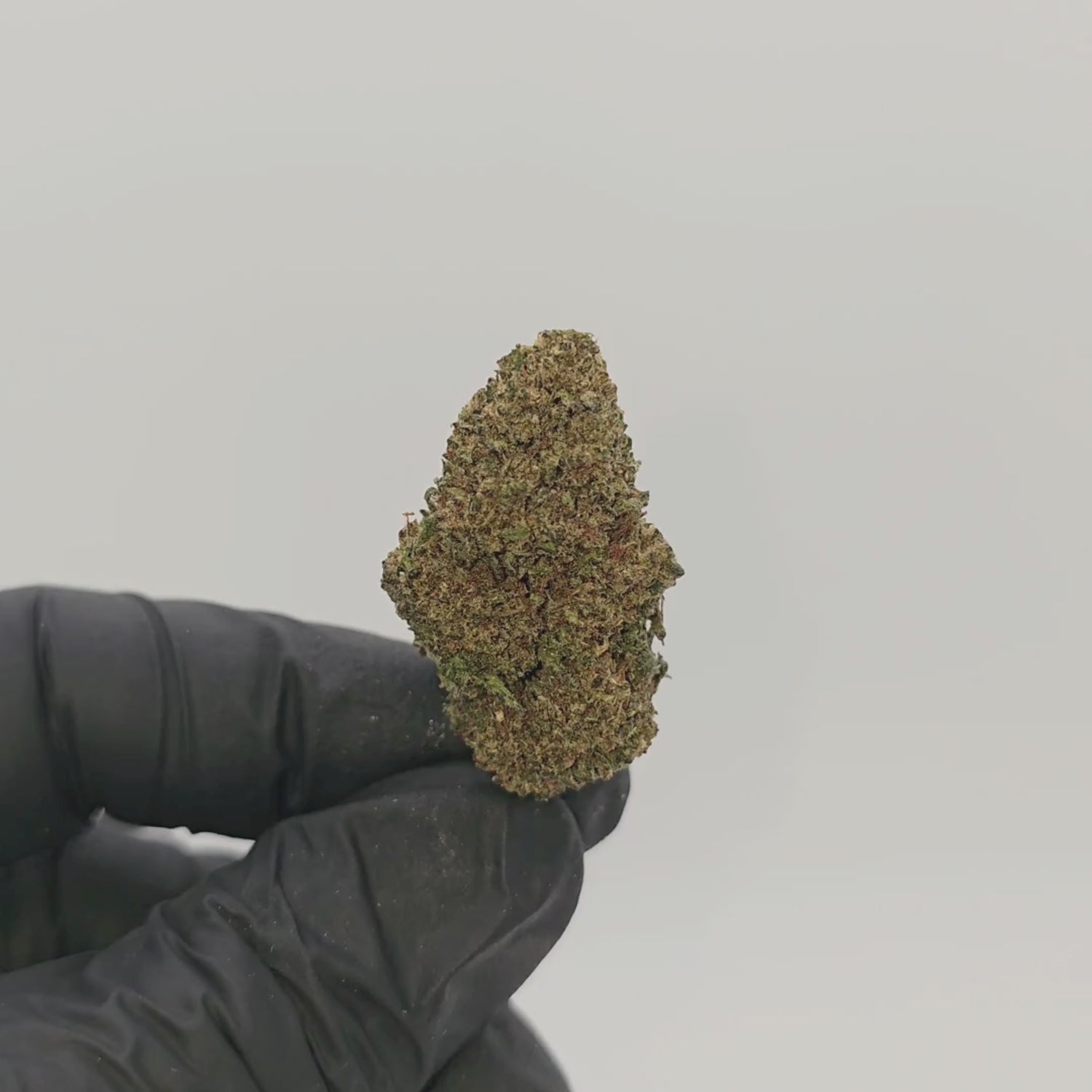 Sweet Berry Sativanol