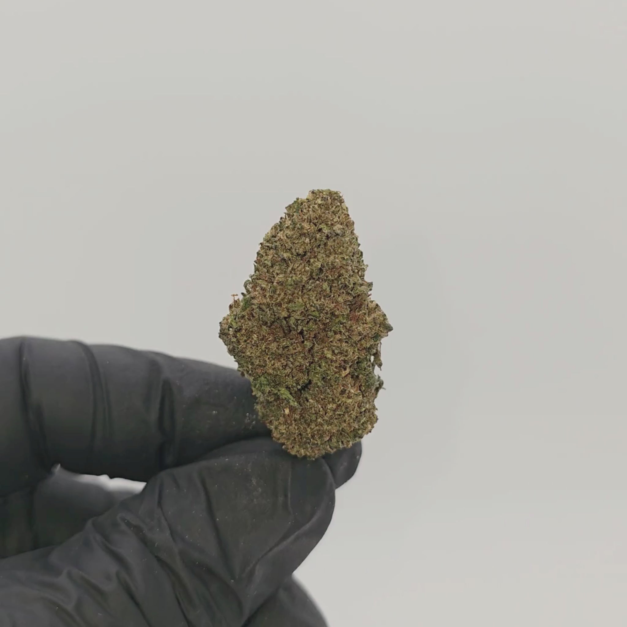 Sweet Berry Sativanol