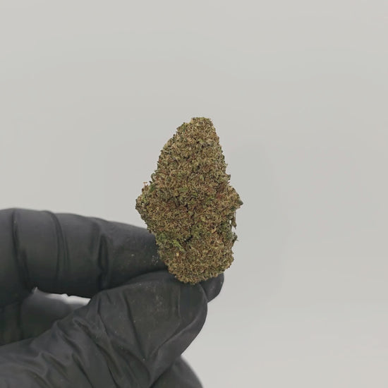 Sweet Berry Sativanol