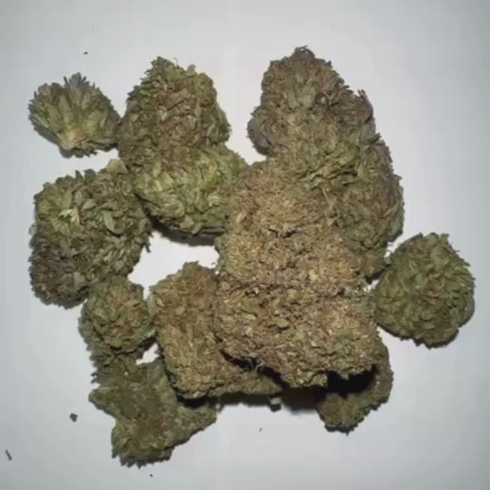 Baked Cherry CBD-P