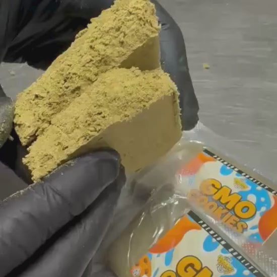 GMO Cookies STV 10