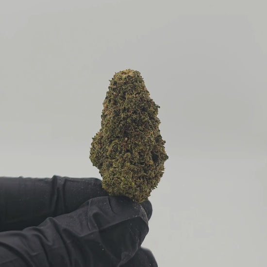 Lemon Haze B20