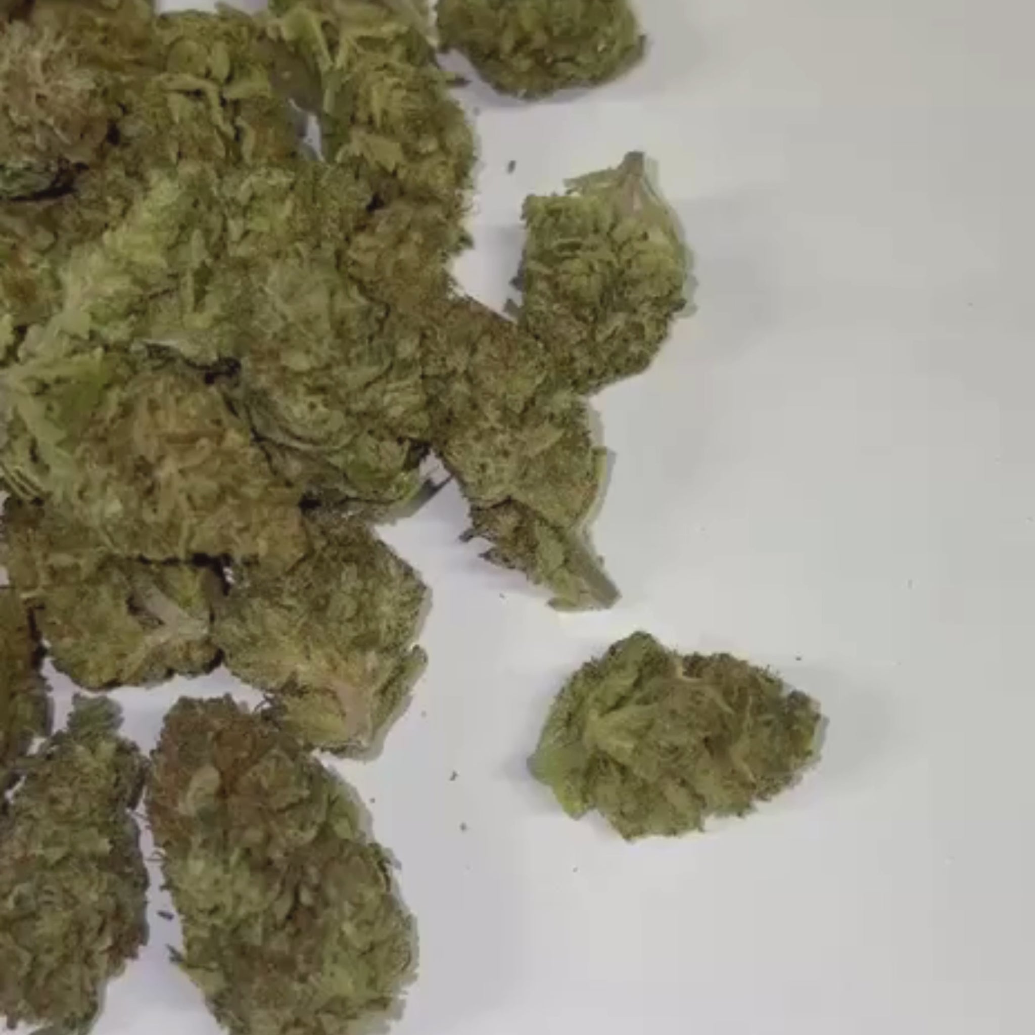 Small Bud GMO Cookies CBD