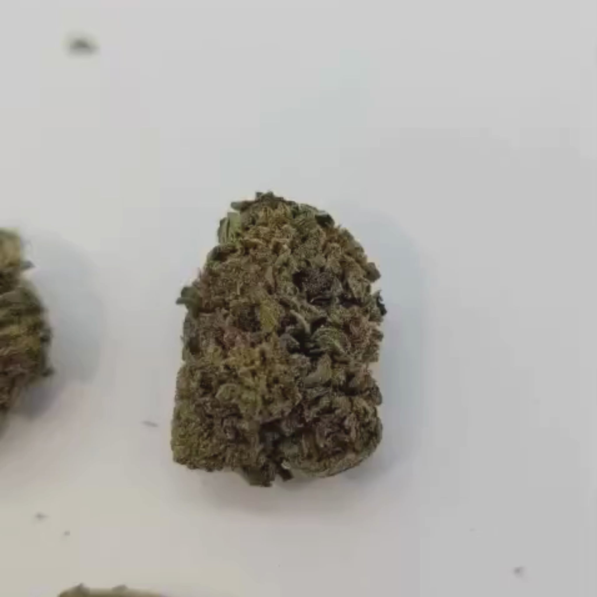 Fleurs Choco Haze CBD