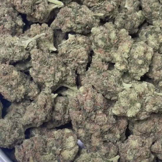 White Siberian Cryo CBD