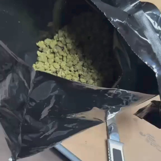 Small Bud Candy Kush THVN10