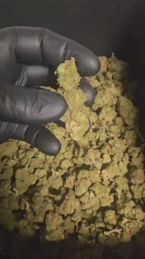 White Widow  CBD
