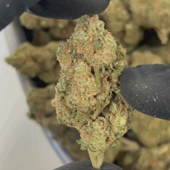Soul Silver Haze CBD-P