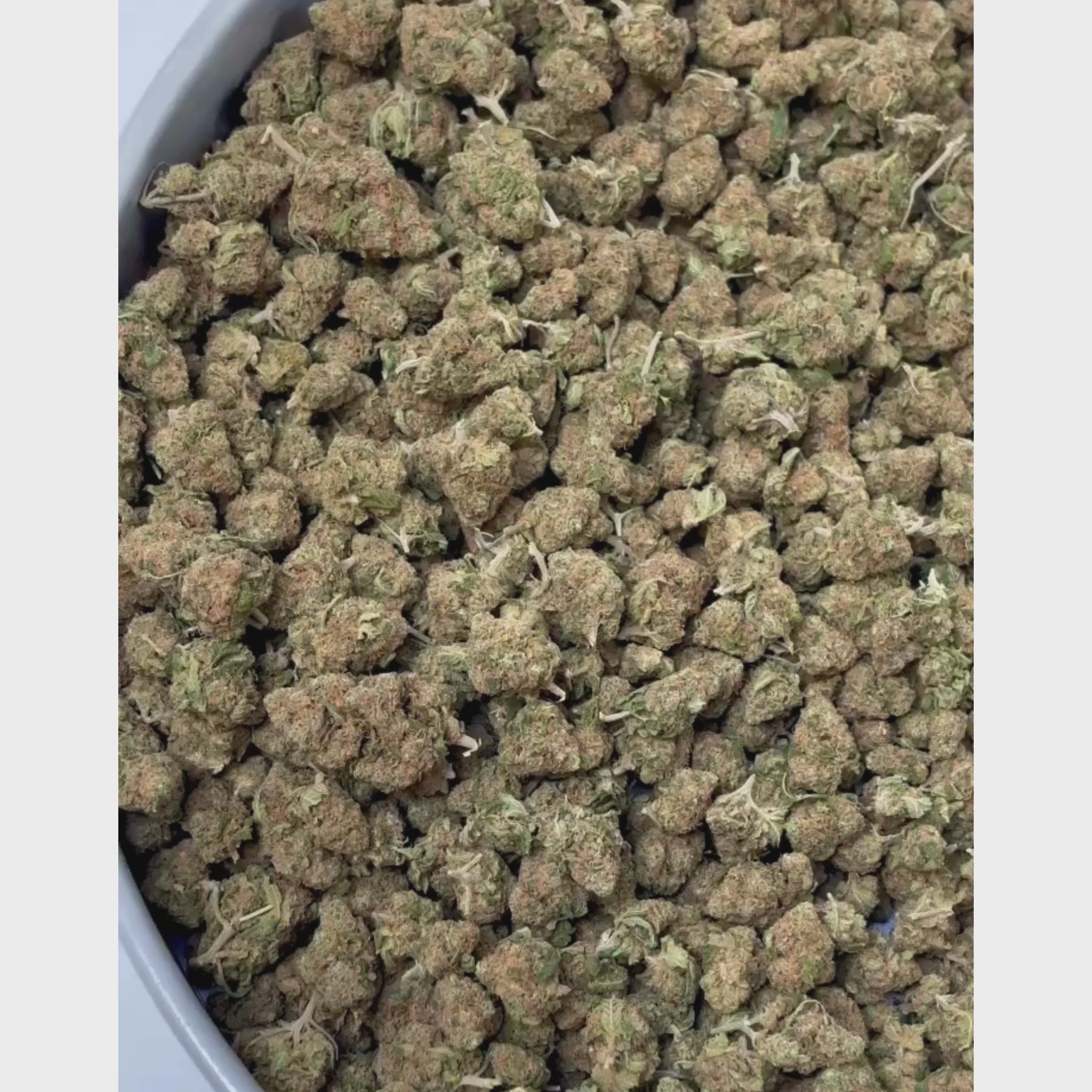 Small Bud Bruce Banner CBD
