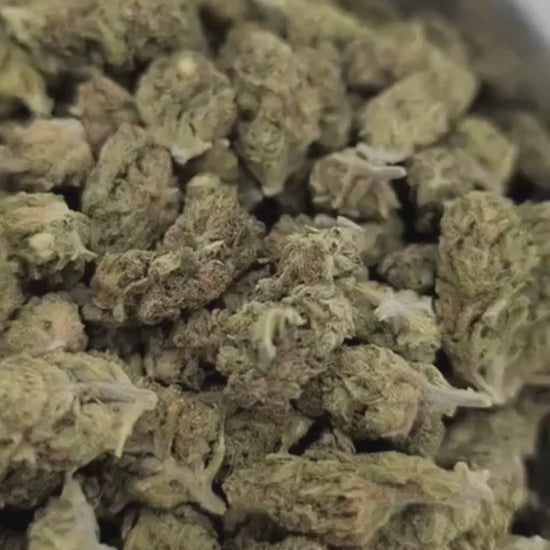Tropical Cheese CBD