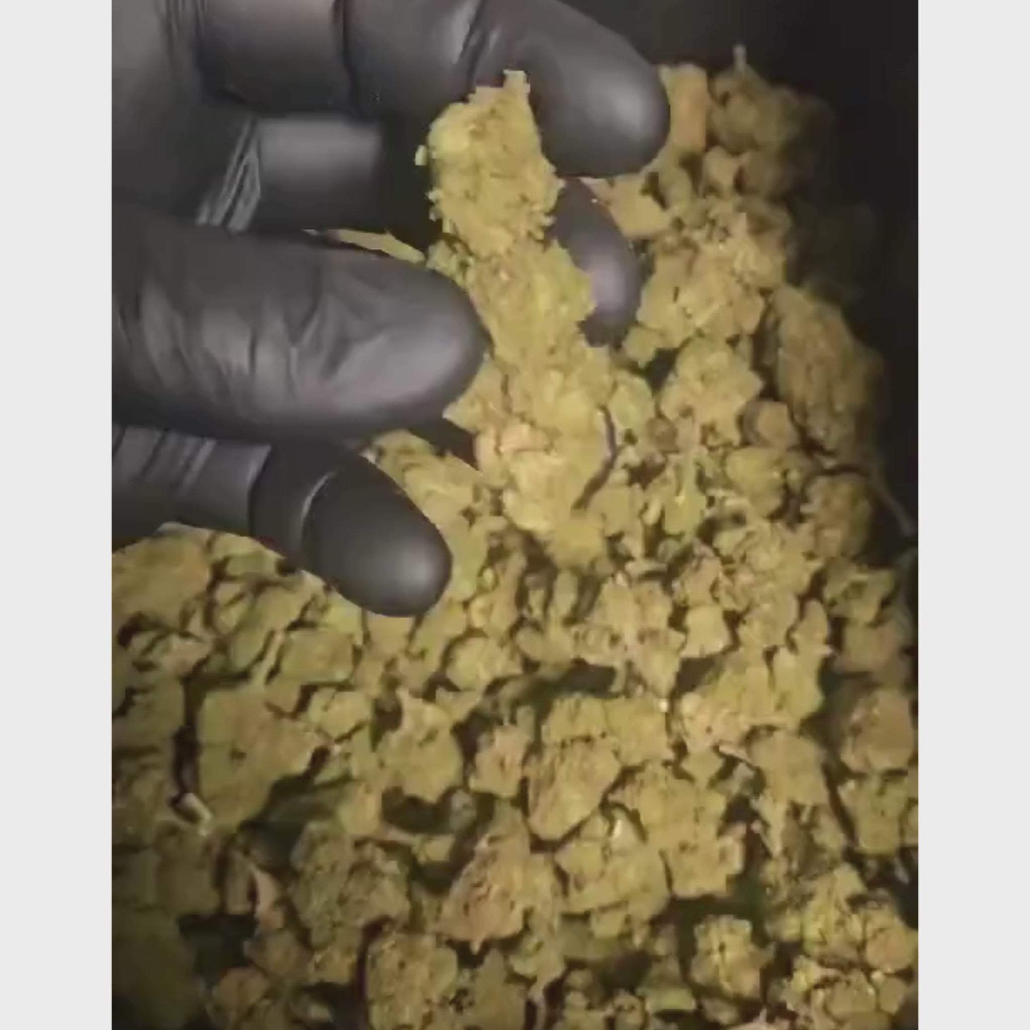 White Widow CBD THV2