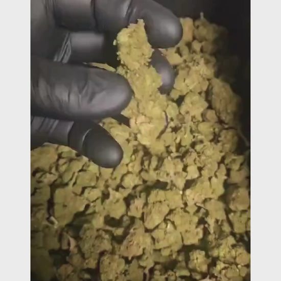 White Widow CBD THV2