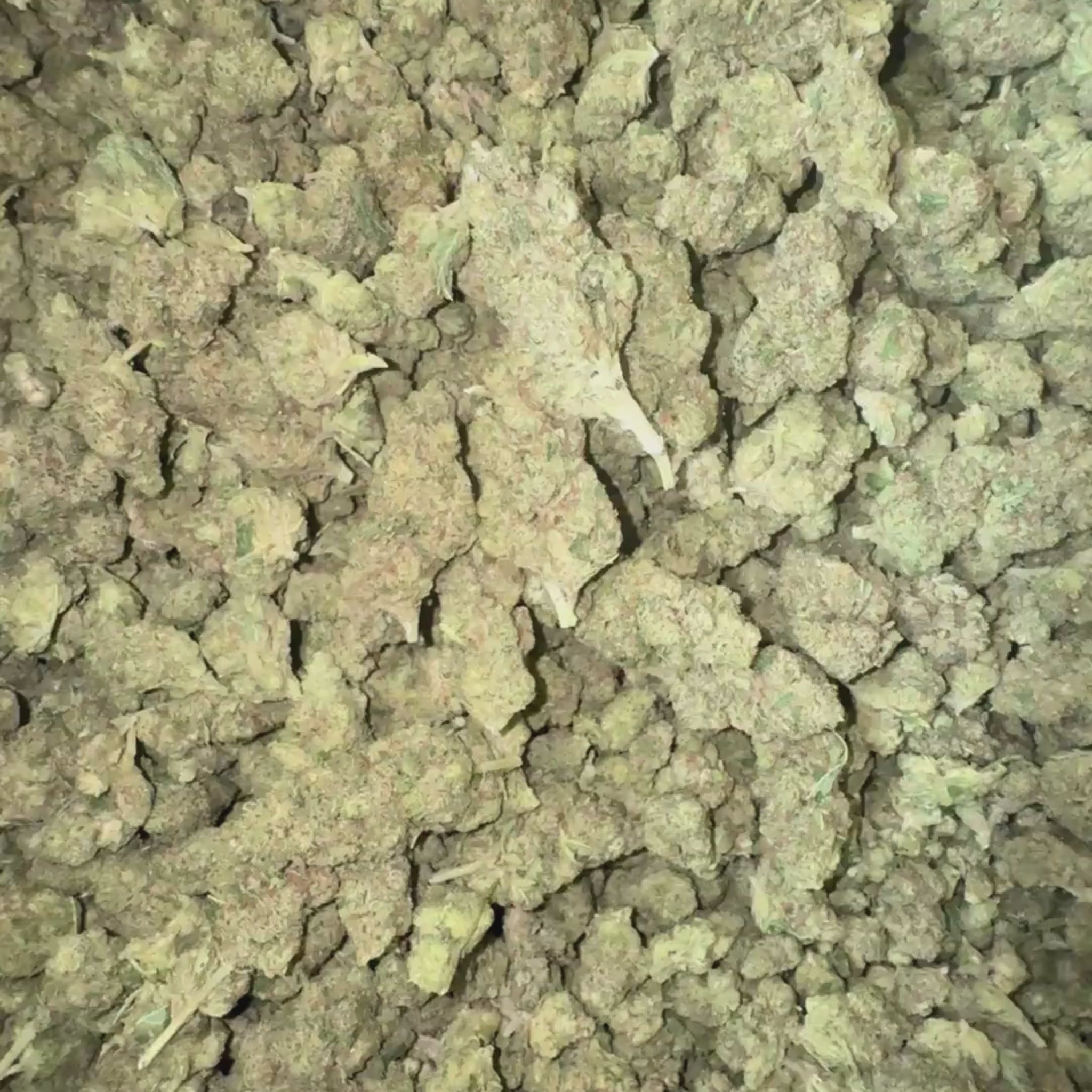 Fleurs CBDp Sky