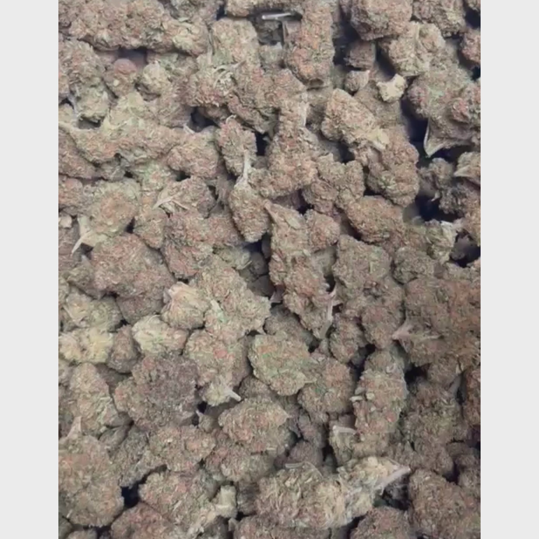 Tropical Haze CBD THV