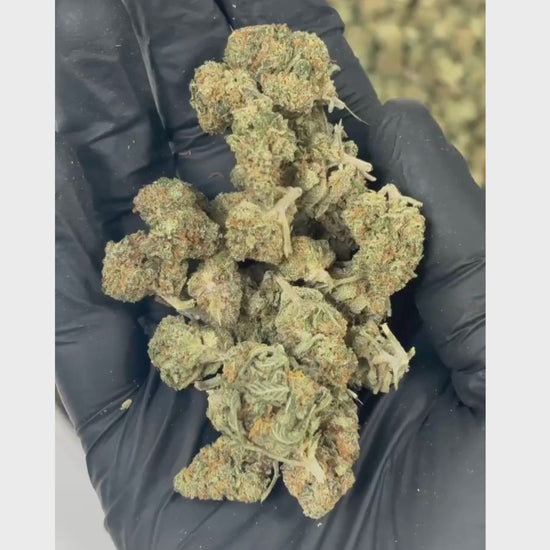 Small Bud Blueberry Cookies CBD