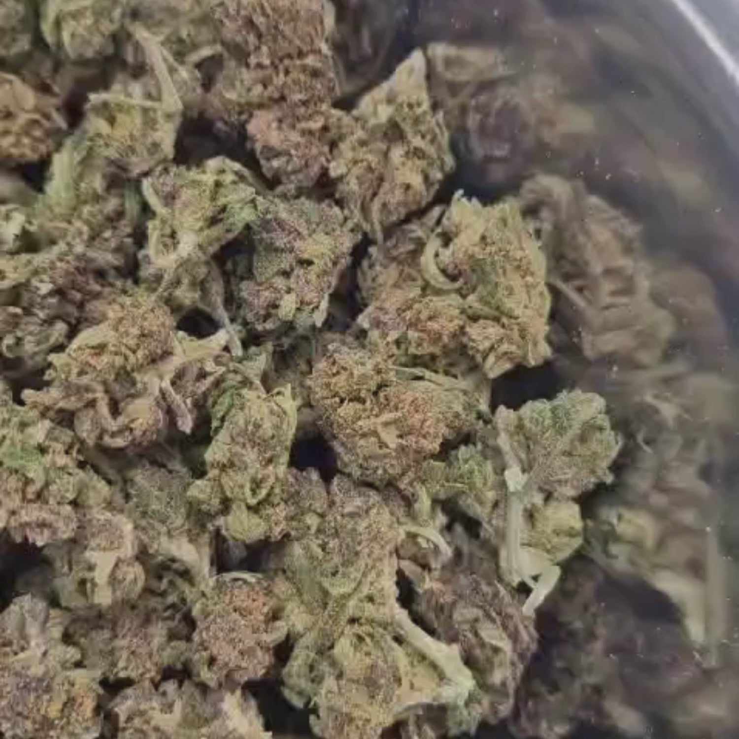Purple Cannatonic CBD