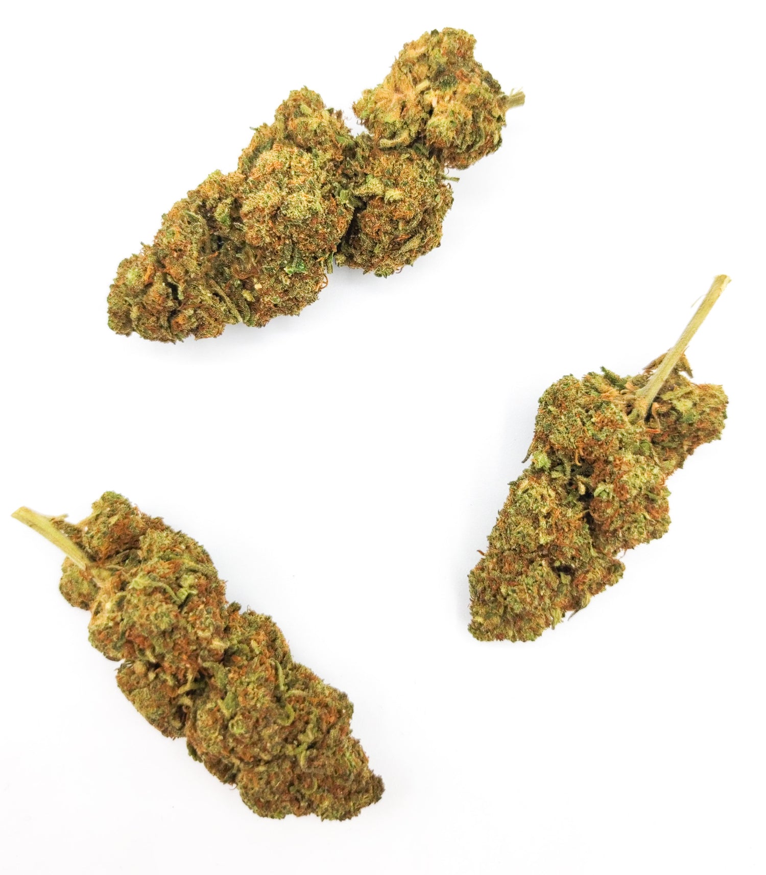 Orange Bud CBD